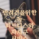 매너독반려견교육센터 | 반려견을 위한 독 피트니스와 자치구 서비스