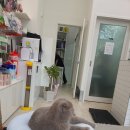 모두애동물병원 이미지