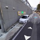 고산흑염소 이미지