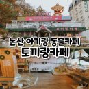토끼랑 | 논산동물카페 토끼랑카페 아기랑 내돈내산후기