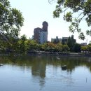 진남제일시장 이미지