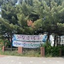 선부11단지사거리 이미지