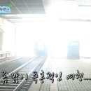 차차차 이미지