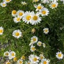 소일뜨락 이미지