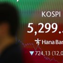 “정상적 움직임 아냐”…개미들 ‘항복 매도’ 코스피 폭락 키웠다 이미지