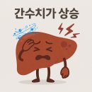 모임이 잦은 연말연초 필수 영양제: 간수치 관리 영양제(인체적용시험으로 효과 입증받은 밸런스간건강)