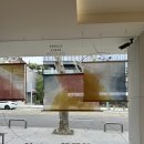 호이테안경 이미지