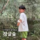 총림사아이숲유치원 | 원주 아이와함께갈만한곳 동물체험 숲놀이터 물놀이 정글숲카페후기