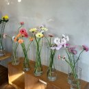 서산꽃집:) 브렌치코이, 원하는 꽃만 골라담아 올 수 있는 서산 가성비 꽃집🌷