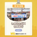 내곡농원 네이버블로그