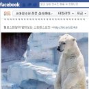 헬로로아