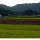 쇠똥구리마을 이미지