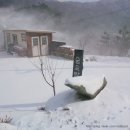 숲속맑은꼴
