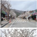 금산사주유소 이미지