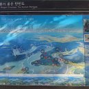 초평붕어마을 | 청룡이 품은 한반도 진천 초평호 "한반도지형 전망공원" 방문후기