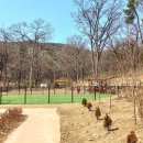 산밑말근린공원 공원화장실 이미지