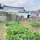 원조 이수민박 이미지