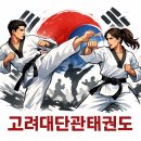 고려대단관태권도 이미지