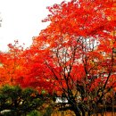 [남기고 싶은 예화] ‘성숙한 감사하는 교회’ 예화 이미지