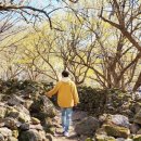 하위주택공원 이미지