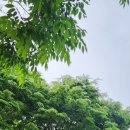 ▶김해도어락 삼방동 현대삼안빌라 RT-301보조키 설치후기 홈플러스김해점1층 (주)힐앤힐