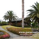 써니데이제주 이미지