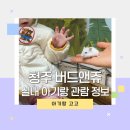 쥬박스버드파크 | 청주 실내 아기랑 가볼만한곳 버드앤쥬 색다른 커플 실내데이트 대전 세종 근교