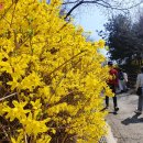 남산근린공원_R 이미지