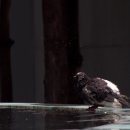 서소문역사공원 이미지