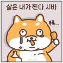노마 이미지