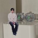 (주)이주데코 | 이주여니 생일 통판 하울 + 💛