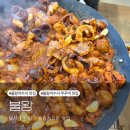 왕불쭈꾸미&막창 | 시흥 물왕저수지 맛집 추천 불왕 통마늘 쭈꾸미 삼겹살 후기