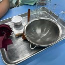 고구려 목장 | 파주 아이랑 가볼만한곳 버터만들기부터 목장체험까지 알찬 고구려목장