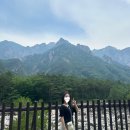 북면 카 | [설악 케이블카] 강원도 | 인생 최고 케이블카였던 국내 가족여행지 (티켓 구매 방법, 권금성, 전망대)