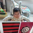 충무공동 장난감은행 | 진주충무공동 장난감은행 이용후기