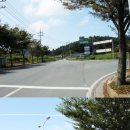 [급매] 전남 나주시 수익성 좋은 귀농 포도밭 매매 이미지