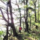 발산1리 마을회관 이미지