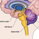 한그루한의원 이미지