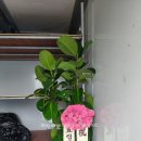 호경산업 이미지