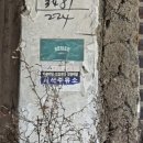 서석주유소
