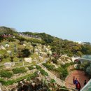 장사도해상공원 이미지