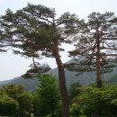 동천민박 이미지