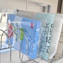 알콩제주 이미지