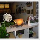 커피볶는집체리 이미지