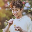 딩가딩가 이미지