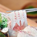 올래어촌 이미지