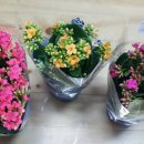 방화1동주민센터 이미지