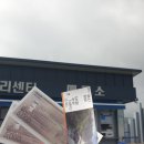 주상만 | 철원 주상절리길 트레킹 후기 한탄강 절벽 풍경 따라 걷는 힐링 코스