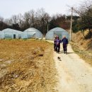 안일영농 이미지