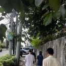 겸이유통 이미지